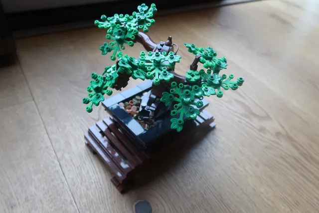 Bonsai Tree 1