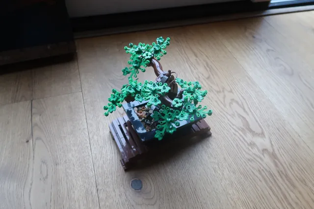 Bonsai Tree 2