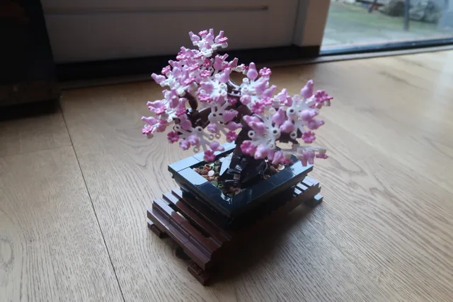 Bonsai Tree 3