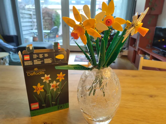 Daffodils