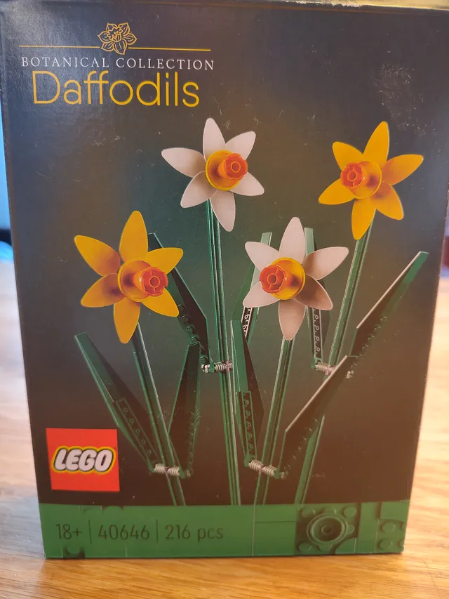 Daffodils 3