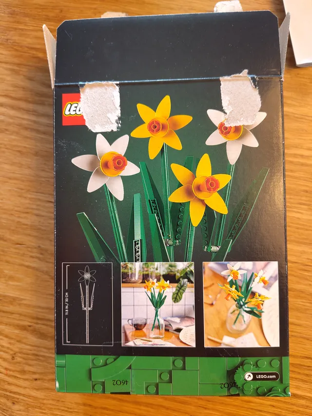 Daffodils 7